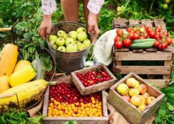 ELABORACIÓN DE REFRESCOS Y AGUAS DE BEBIDAS ENVASADAS