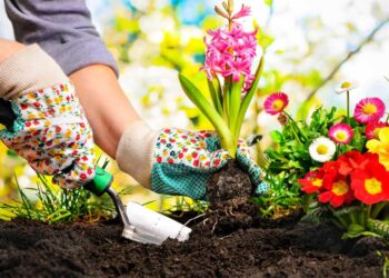 GESTIÓN DE RESIDUOS URBANOS E INDUSTRIALES