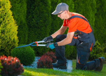 IMPRESIÓN EN OFFSET