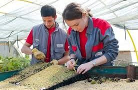 GESTIÓN COMERCIAL DE VENTAS