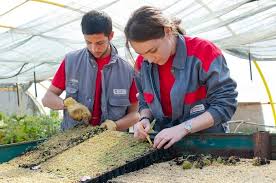 GESTIÓN COMERCIAL DE VENTAS