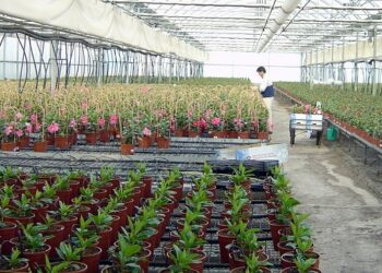 ORGANIZACIÓN Y GESTIÓN DE LA PRODUCCIÓN EN INDUSTRIAS DEL MUEBLE Y CARPINTERÍA