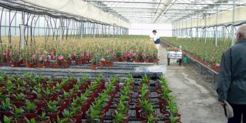 ORGANIZACIÓN Y GESTIÓN DE LA PRODUCCIÓN EN INDUSTRIAS DEL MUEBLE Y CARPINTERÍA